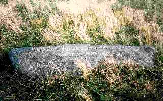 In the Heart of Dartmoor, Memorial Stone to Ted Hughes, the Poet