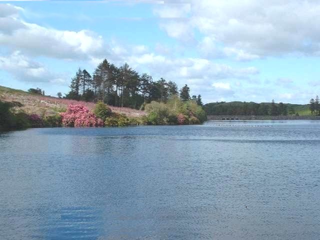 Venford Reservoir on Dartmoor