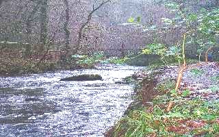 Lydford Gorge showing the River Lyd